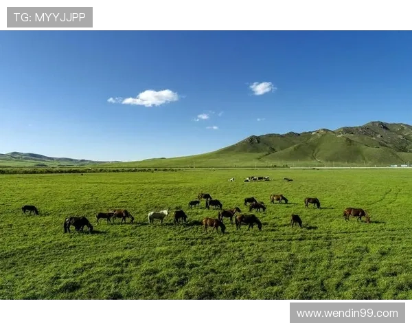 赤峰直播现场直击：探秘内蒙古草原文化盛宴
